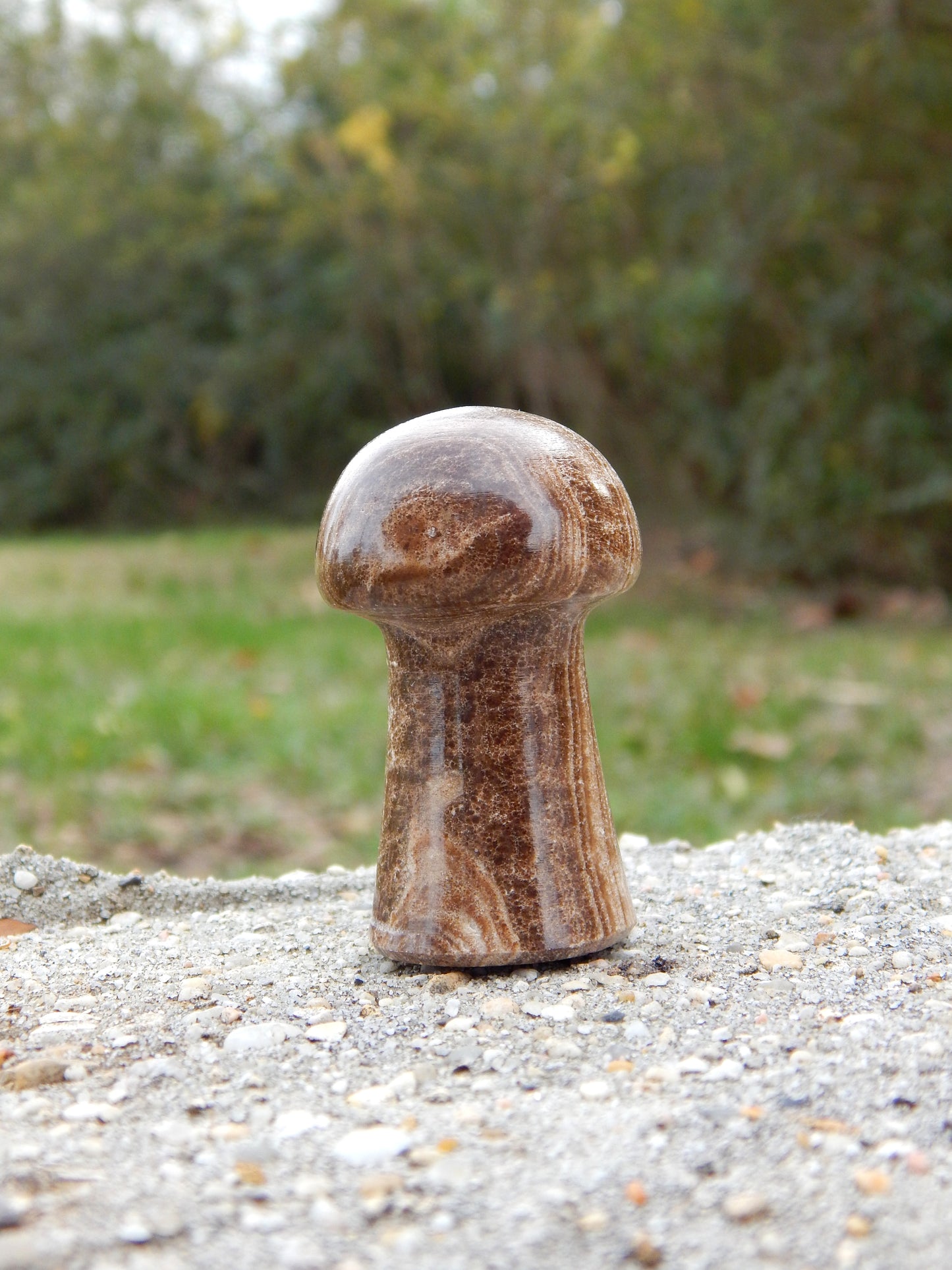 Chocolate calcite mushroom