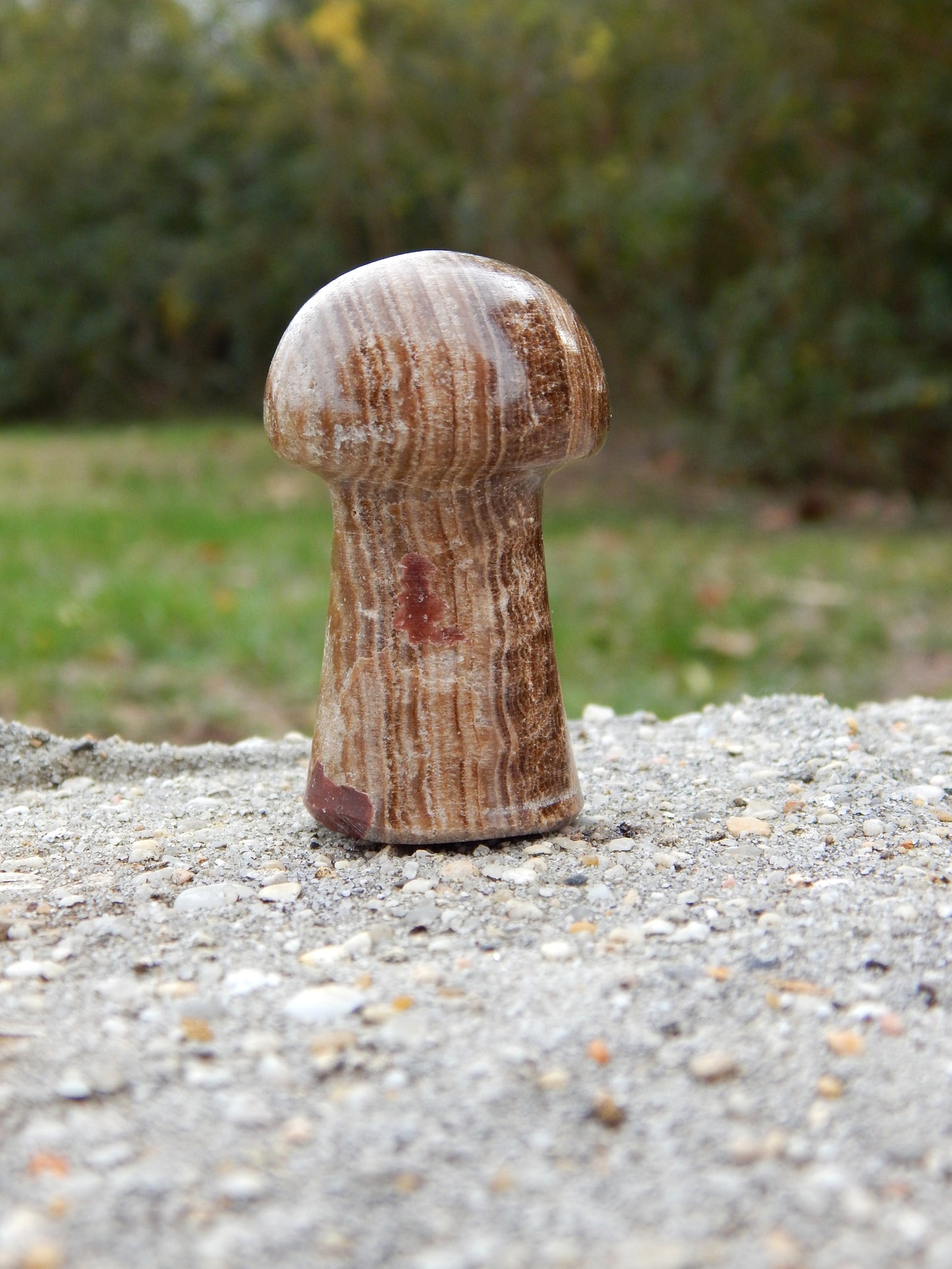 Chocolate calcite mushroom