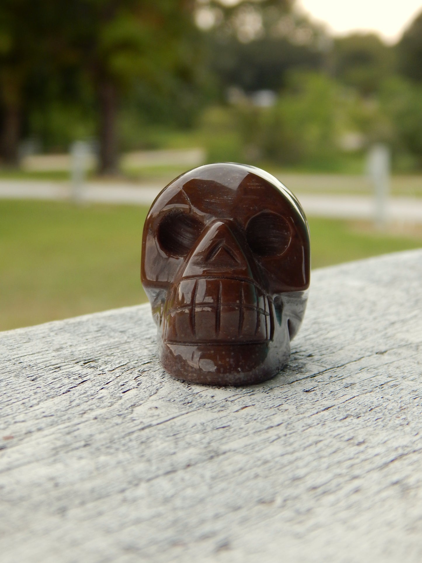 Brown ocean jasper skull carving