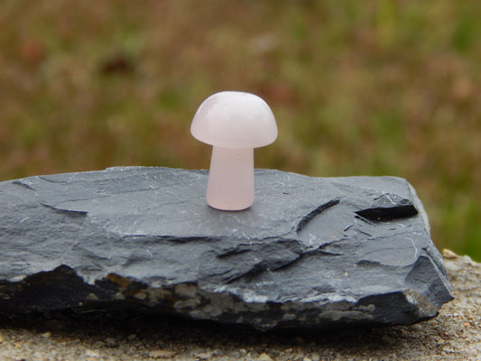 Rose quartz mini mushroom