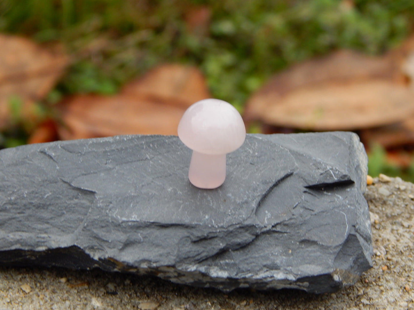 Rose quartz mini mushroom