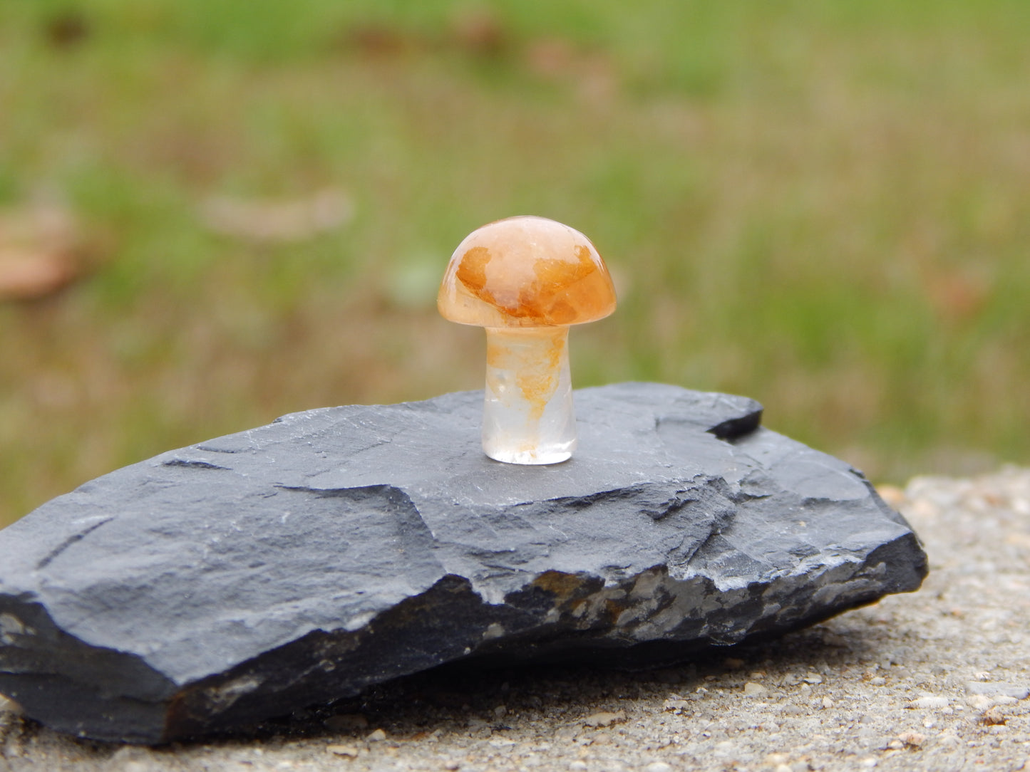 Golden healer quartz mini mushroom