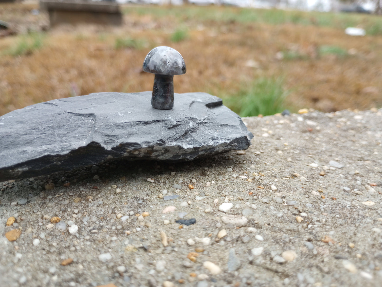 Larvikite mini mushroom