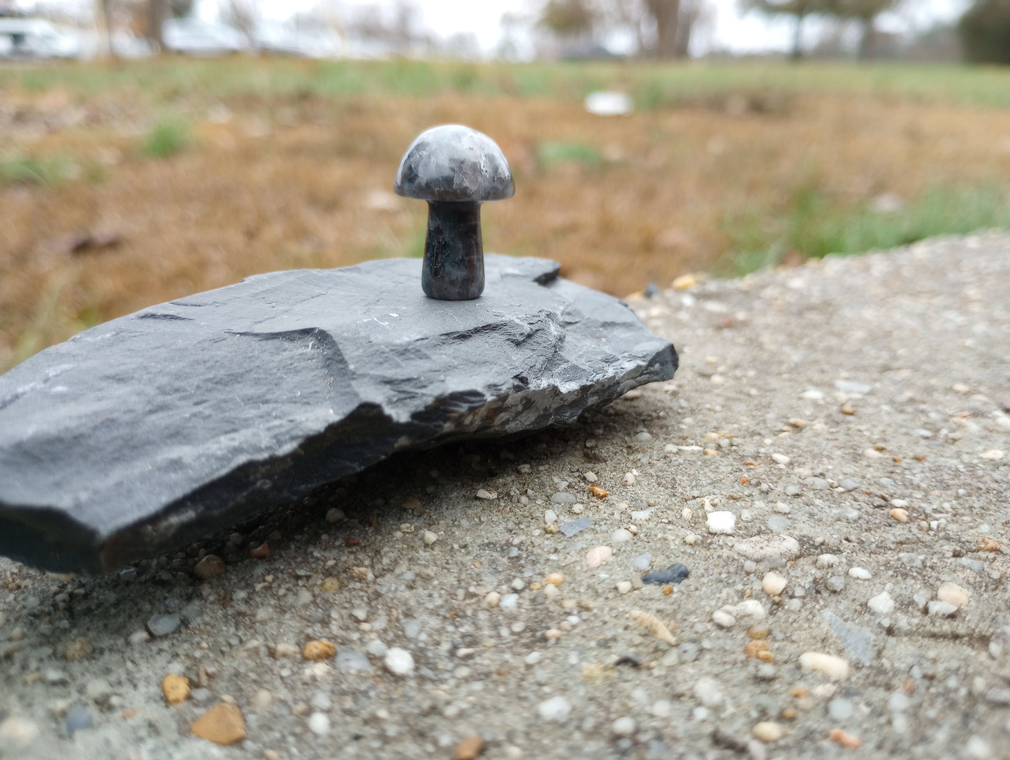 Larvikite mini mushroom