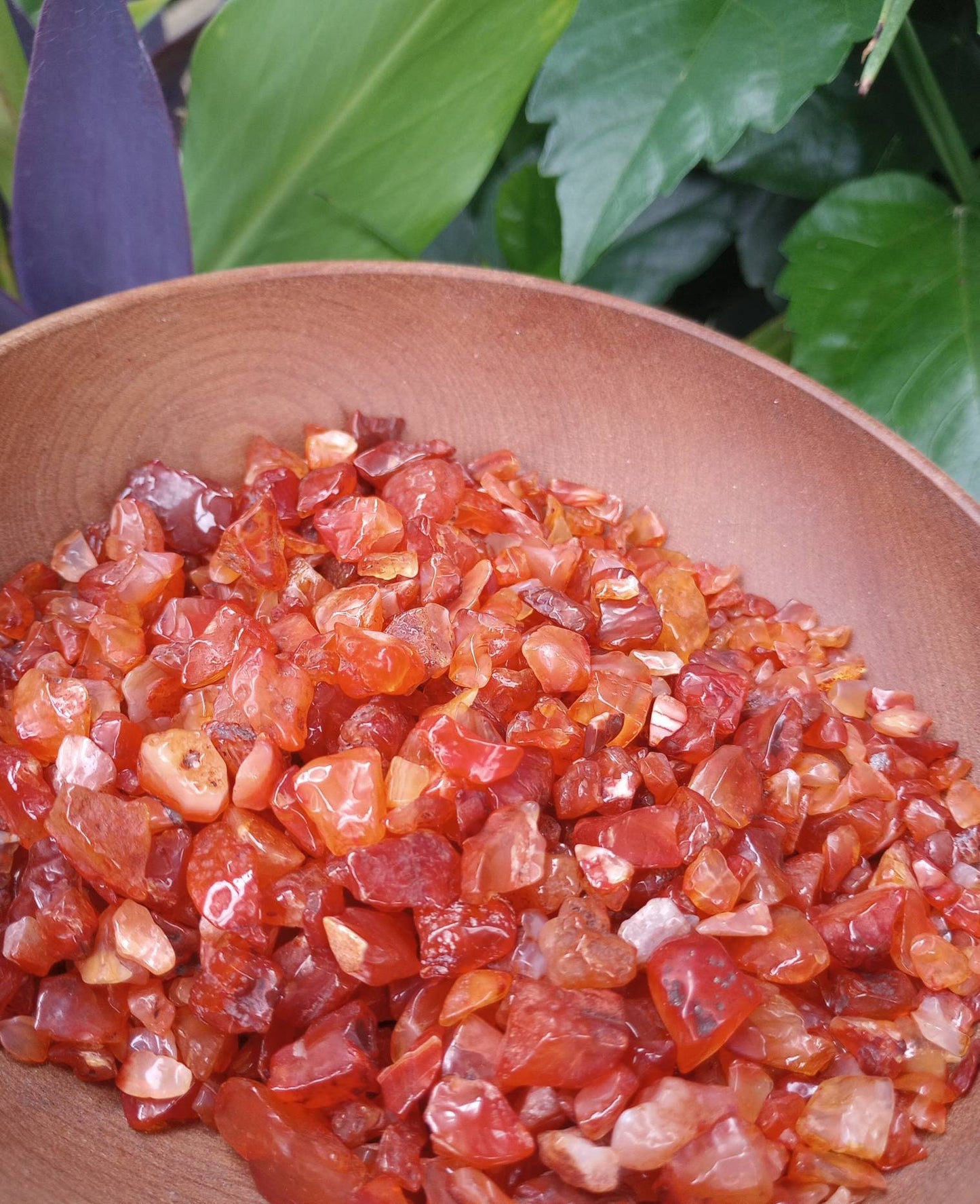Carnelian chips by the ounce
